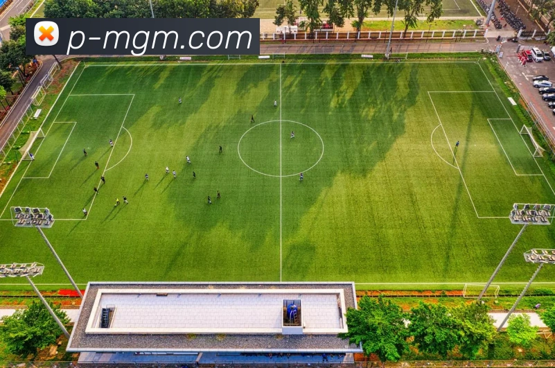 美高梅官网APP 体育赛事宣传图